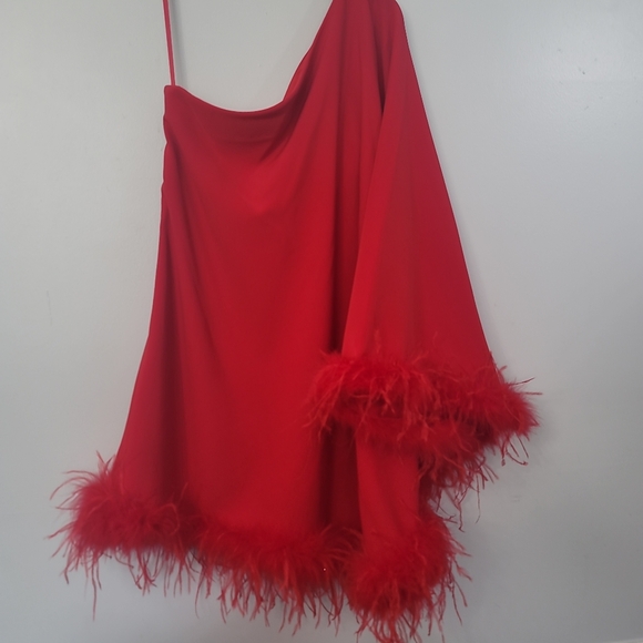 Antonio Melani Cosima One Sleeve Asymmetrical Neckline Feather Trim Dress - Picture 10 of 11